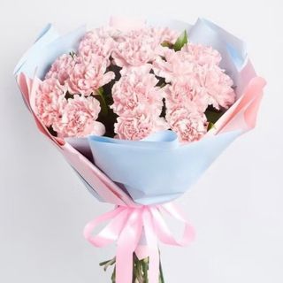 Bukiet różowych goździków 