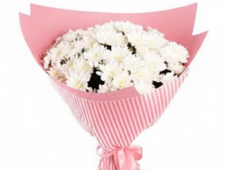 Bukiet margaretek , rozmiar średni