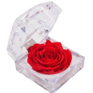 Mini wieczna róża czerwona w pudełku