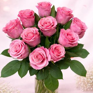 11 różowych róż związanych wstążką