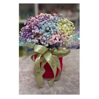 Box z kolorową gipsówką