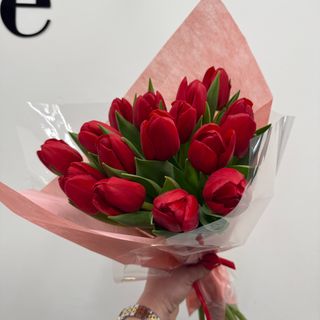 Tulipany czerwone 15 szt