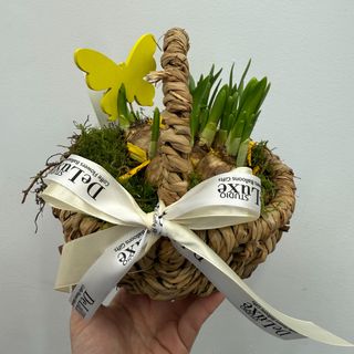 Kwiat doniczkowy w koszu wielkanoc