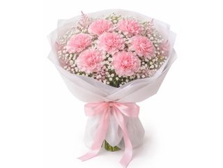 Bukiet goździków z gipsówką