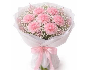 Różowe goździki z białą gipsówką