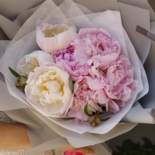 PEONY CLOUD
