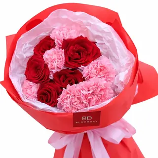 SCARLET KISS