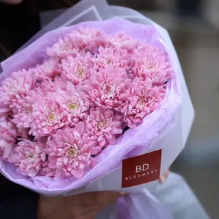 BLOSSOM GRACE