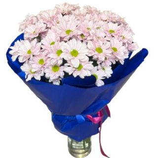 Bukiet różowych Margaretek <<L>>