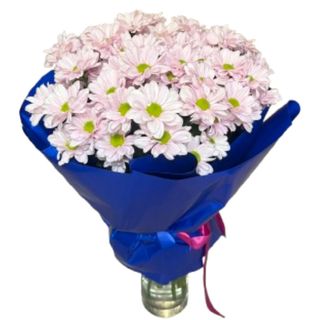 Bukiet różowych margaretek << S >>