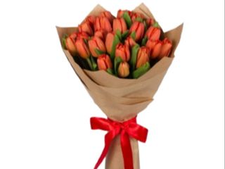 Bukiet czerwonych eko tulipanów <<L<<