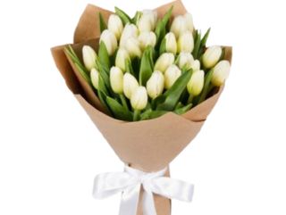 Bukiet Białych Eko tulipanów S