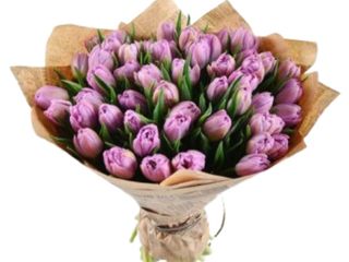Bukiet fioletowych eko tulipanów <<M>>