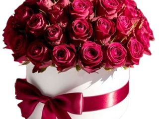 Flower box z 49 róż czerwonych