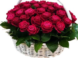 Kosz 49 czerwonych róż