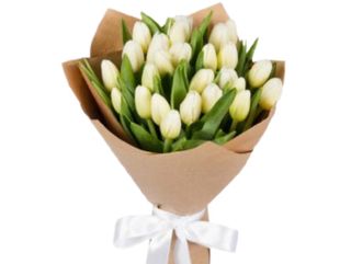 Bukiet białych eko tulipanów L