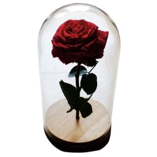 Wieczna Czarna Róża