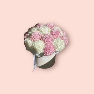 Flowerbox Hortensja cięta 