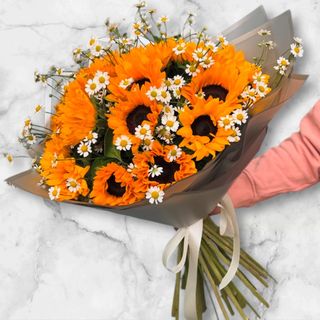 Słonecznik plus rumianek 