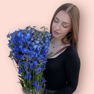 Bukiet ostróżka granat.