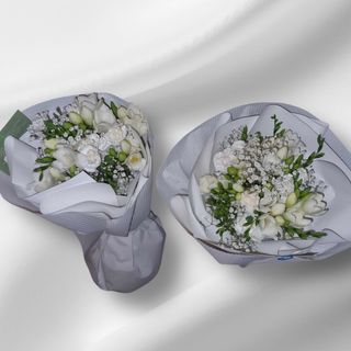 Frezja plus bialy gips 