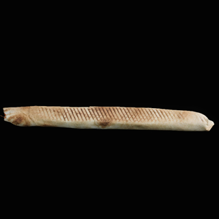 Rollo mega