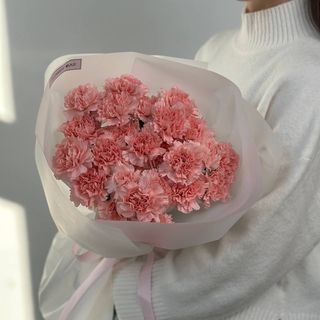 DIANTHUS PINK