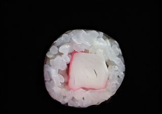 Hosomak paluszek krabowy