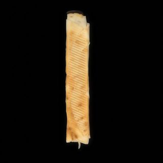 Rollo super mega amerykański