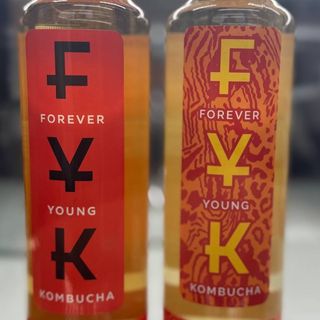 Kombucha FYK 200 ml