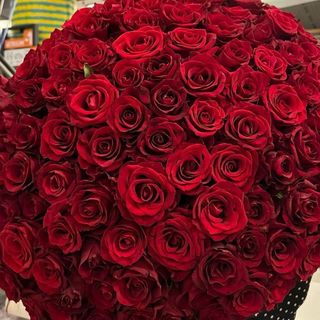 101 czerwonych róż - minimum 60 cm
