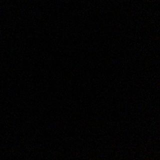 Krewetki torpedo (6 sztuk)