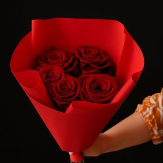 5 czerwonych róż premium jakoś