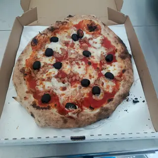 Tonno
