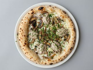 FUNGHI