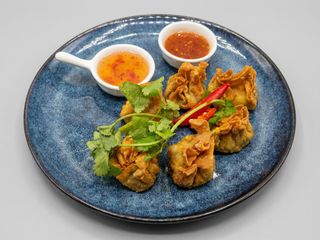 Pierożki won ton drobiowe
