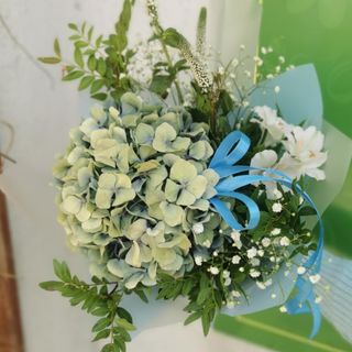 Hortensjowy zawrót głowy 