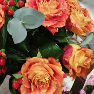 Bukiet z pięknych róż herbacianych