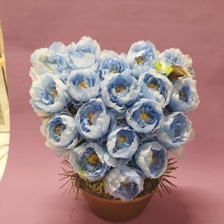 Serce w donicy obciążonej 