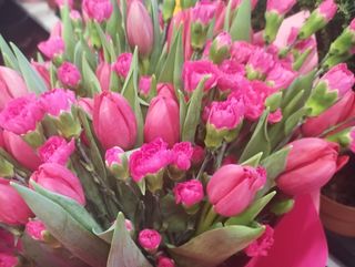 Tulipany i goździki