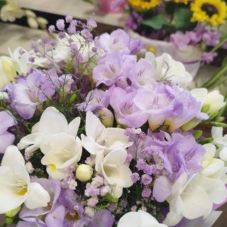 Duży piękny bukiet z frezii