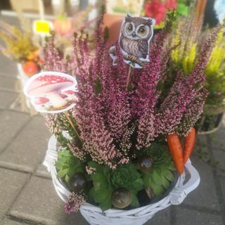Kompozycja z wrzosem i dodatkami w koszyczku