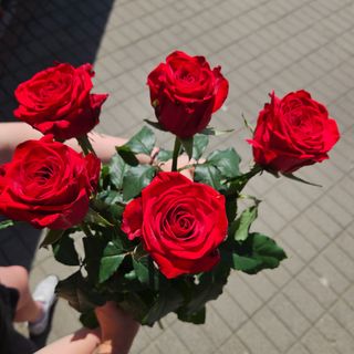 Bukiet z pięciu czerwonych róz