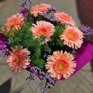 Bukiet z gerber (7szt)