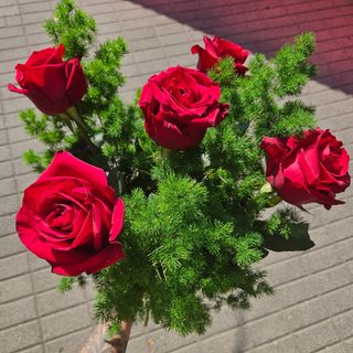 Bukiet z 5 roz z przybraniem.