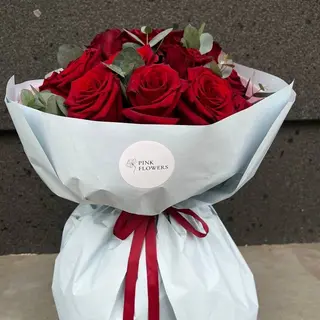  Red Explorer 15 Szt (50 cm)