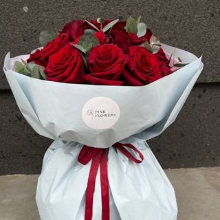 Red Explorer 15 Szt (50 cm)