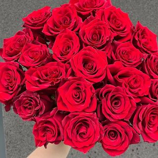 Red Explorer 25 Szt (50 cm)