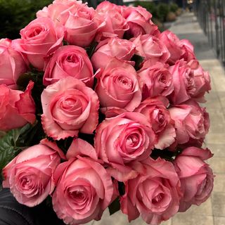 Bukiet róż Pink Expression 25 sztuk (50 cm)