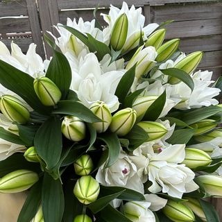 Bukiet lilii (10 sztuk)